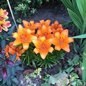 Meet your Posher, Mischelle